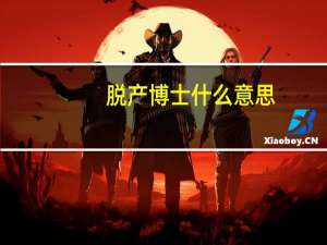 脱产博士什么意思