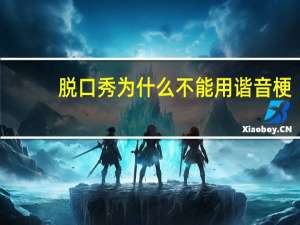 脱口秀为什么不能用谐音梗