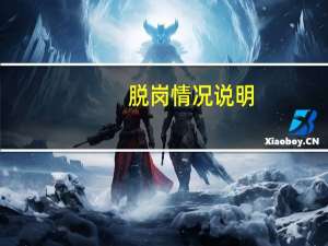 脱岗情况说明