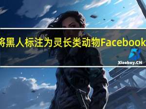 脸书将黑人标注为灵长类动物 Facebook又摊上事了