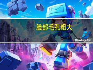 脸部毛孔粗大（脸部毛孔）