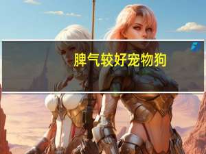 脾气较好宠物狗