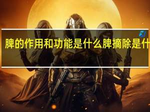 脾的作用和功能是什么脾摘除是什么病（脾的作用和功能是什么）