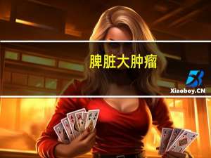 脾脏大肿瘤