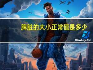 脾脏的大小正常值是多少（脾大小正常值为多少mm）