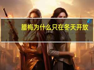 腊梅为什么只在冬天开放