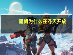 腊梅为什么在冬天开放