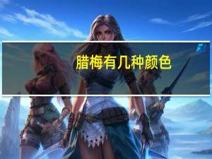 腊梅有几种颜色