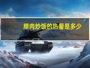 腊肉炒饭的热量是多少