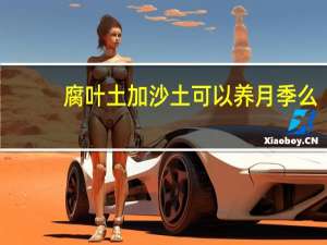 腐叶土加沙土可以养月季么