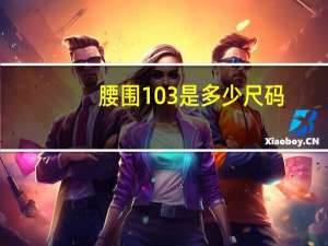 腰围103是多少尺码