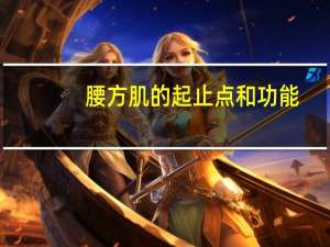腰方肌的起止点和功能（中央差速器锁止功能有什么用）