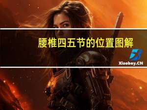 腰椎四五节的位置图解（腰椎四五节的位置）