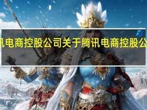 腾讯电商控股公司 关于腾讯电商控股公司的介绍