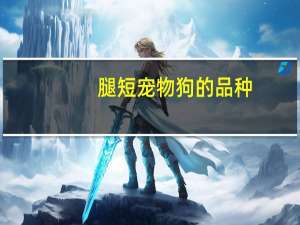 腿短宠物狗的品种