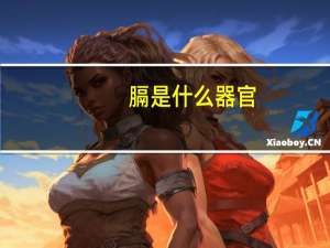 膈是什么器官（膈）