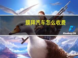 膜拜汽车怎么收费