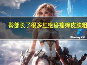 臀部长了很多红疙瘩瘙痒皮肤粗糙（臀部长了很多红疙瘩瘙痒）