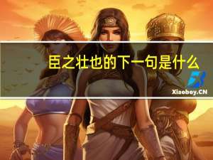 臣之壮也的下一句是什么