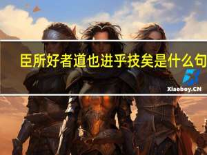 臣所好者道也进乎技矣是什么句式