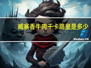 臧寨香 牛肉干卡路里是多少