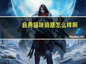 自养猫咪销路怎么样啊