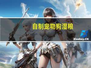 自制宠物狗湿粮
