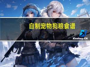 自制宠物狗粮食谱