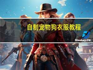自制宠物狗衣服教程
