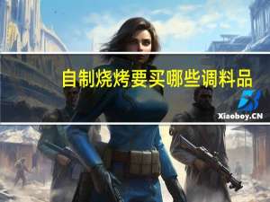 自制烧烤要买哪些调料品