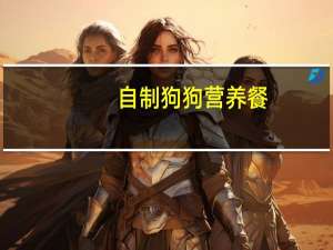 自制狗狗营养餐