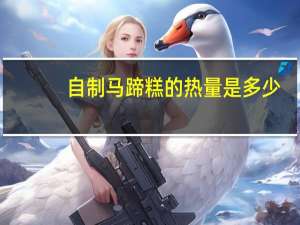 自制马蹄糕的热量是多少