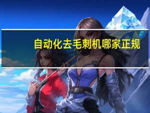 自动化去毛刺机哪家正规