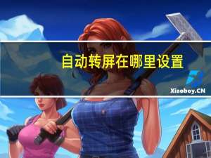 自动转屏在哪里设置