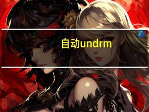 自动undrm