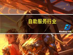 自助服务行业 - 快手刷一元100个微信支付