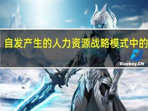 自发产生的人力资源战略模式中的缺点