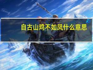 自古山鸡不如凤什么意思
