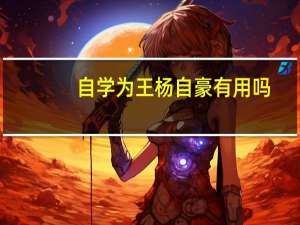 自学为王杨自豪有用吗