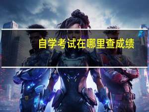 自学考试在哪里查成绩