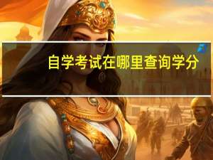 自学考试在哪里查询学分