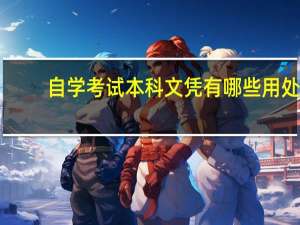 自学考试本科文凭有哪些用处
