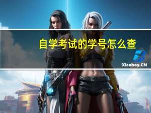 自学考试的学号怎么查