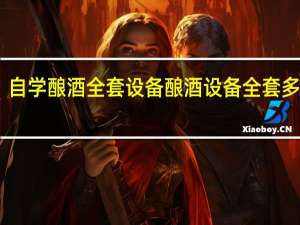 自学酿酒全套设备 酿酒设备全套多少钱