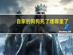 自家的狗狗死了埋哪里了
