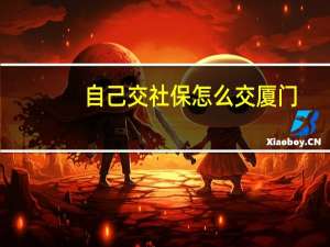 自己交社保怎么交厦门