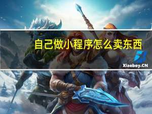 自己做小程序怎么卖东西