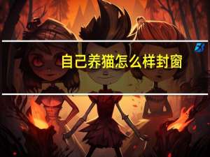 自己养猫怎么样封窗