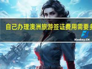 自己办理澳洲旅游签证费用需要多少