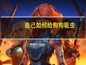 自己如何给狗狗驱虫